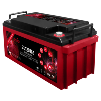 Zenith AGM Deep Cycle Batterie | ZL120165 | 12V 65Ah